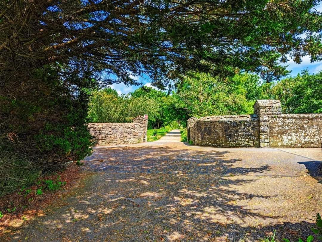 Home Comforts Castleisland Dış mekan fotoğraf